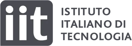 IIT
