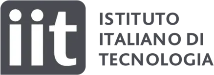 IIT